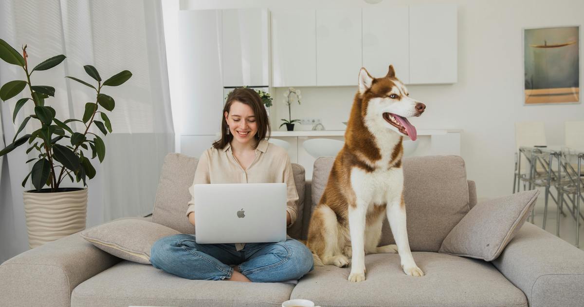 Writer sitting on couch with dog