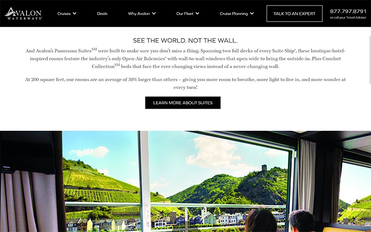 Website hero section for Avalon Waterways featuring the headline “See the world. Not the wall.” with descriptive copy about Panorama Suites, a “Learn more about suites” button, and a large video showing cruise passengers looking out through floor-to-ceiling windows at a riverside town and green hills.